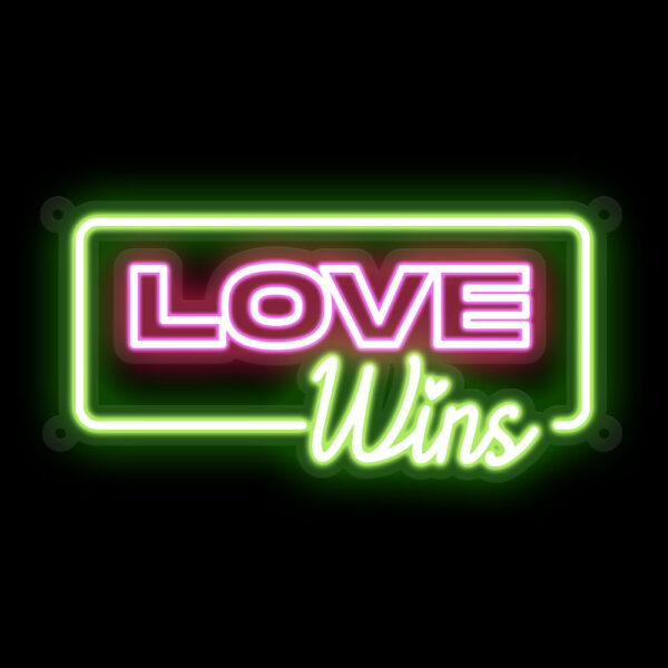 Love Wins Neon Sign - Image 3